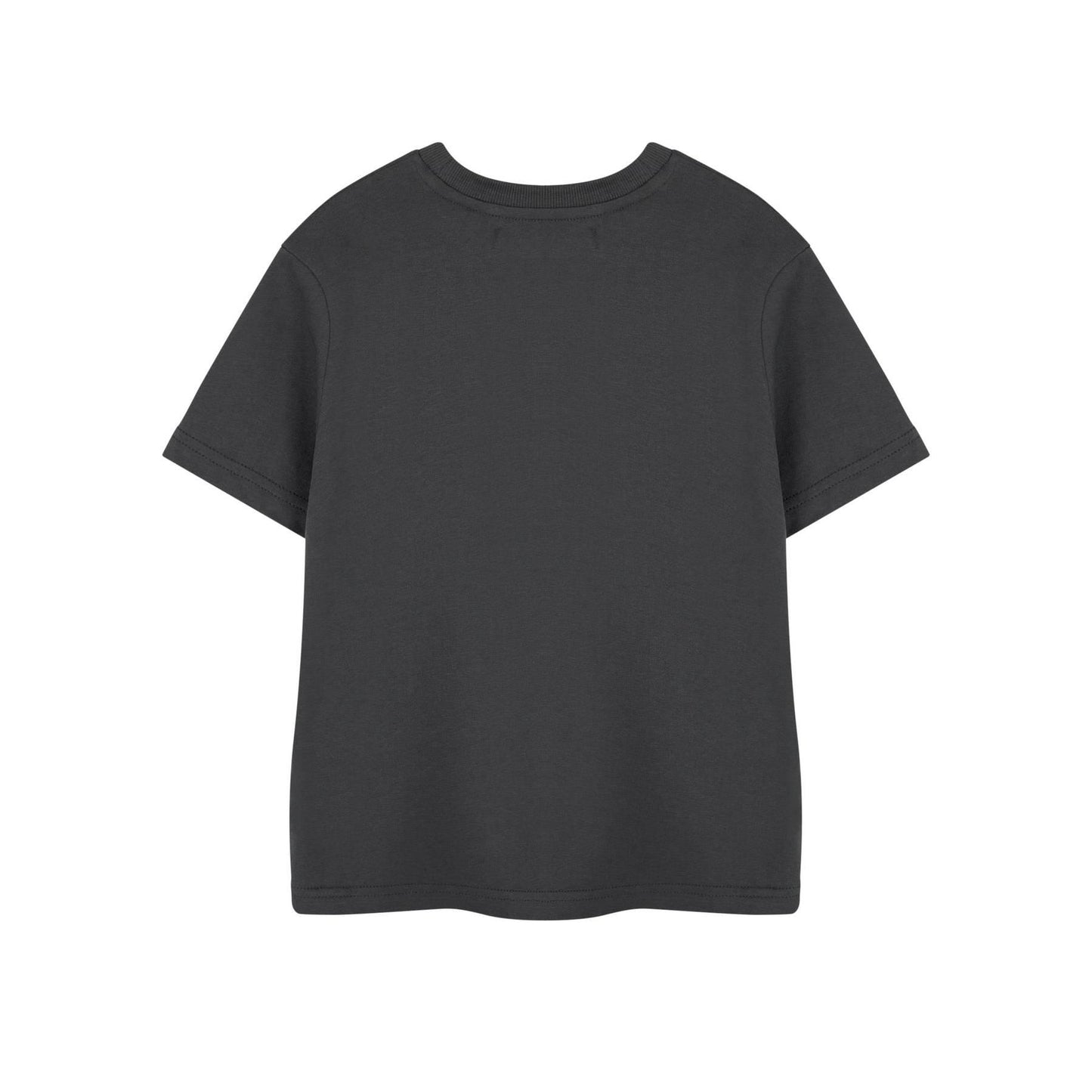 Grey - Back - One Piece Boys Straw Hat Pirates Short-Sleeved T-Shirt