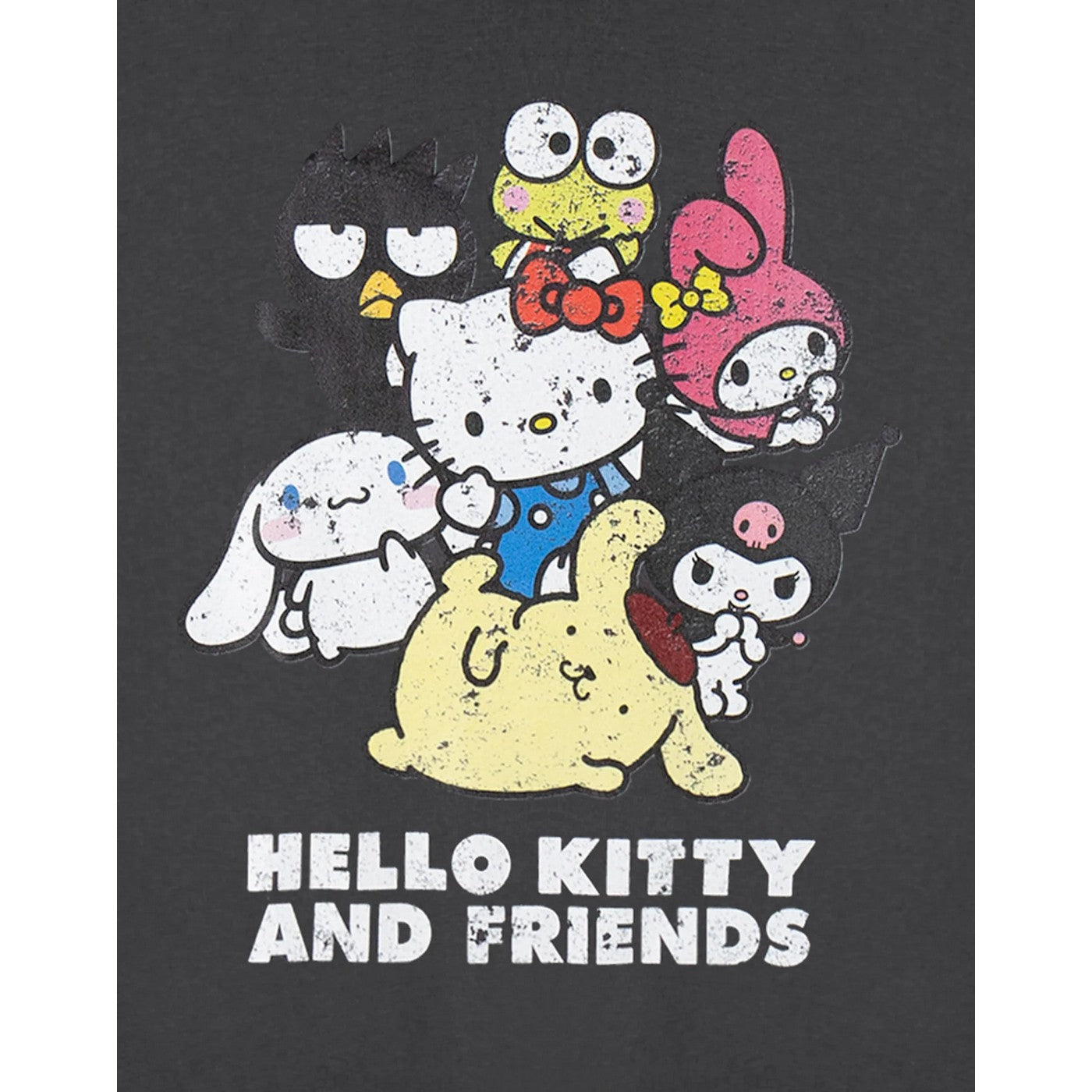 Grey - Pack Shot - Hello Kitty & Friends Womens-Ladies Cropped Short-Sleeved T-Shirt