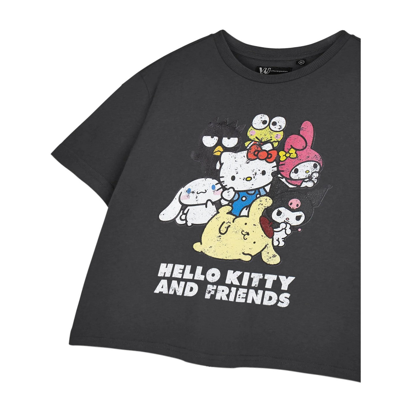 Grey - Close up - Hello Kitty & Friends Womens-Ladies Cropped Short-Sleeved T-Shirt