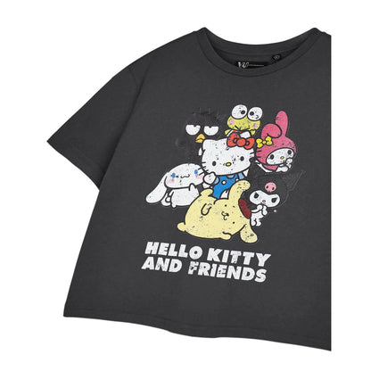 Grey - Close up - Hello Kitty & Friends Womens-Ladies Cropped Short-Sleeved T-Shirt