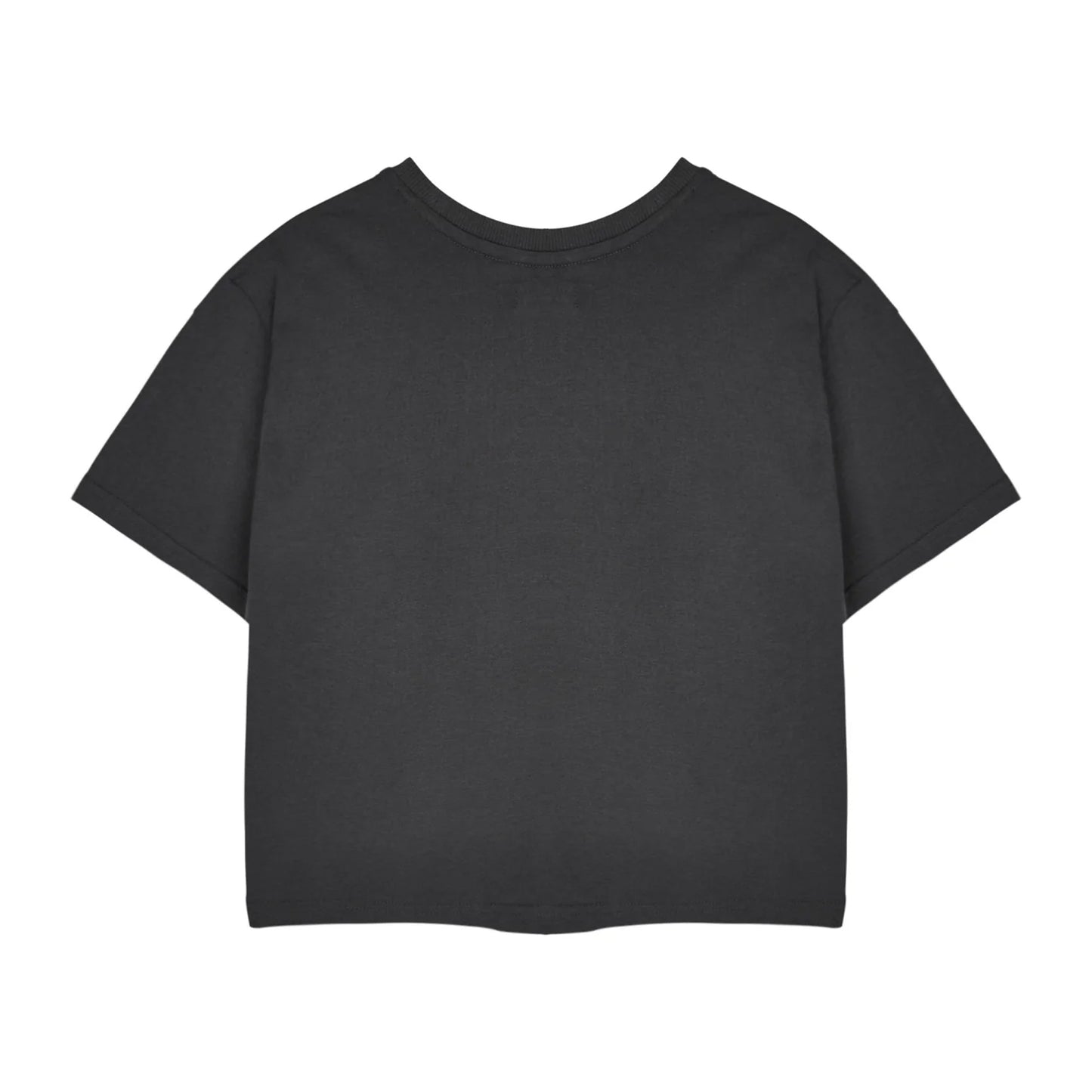 Aluminium Grey - Back - Monster High Womens-Ladies Alumni Short-Sleeved Crop T-Shirt