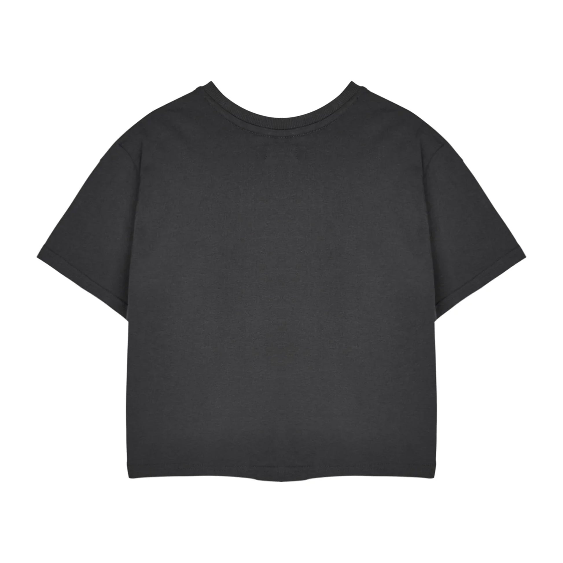 Aluminium Grey - Back - Monster High Womens-Ladies Alumni Short-Sleeved Crop T-Shirt