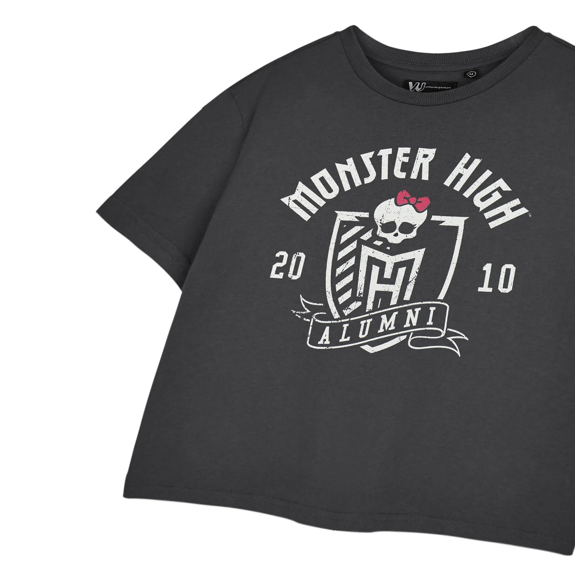 Aluminium Grey - Side - Monster High Womens-Ladies Alumni Short-Sleeved Crop T-Shirt