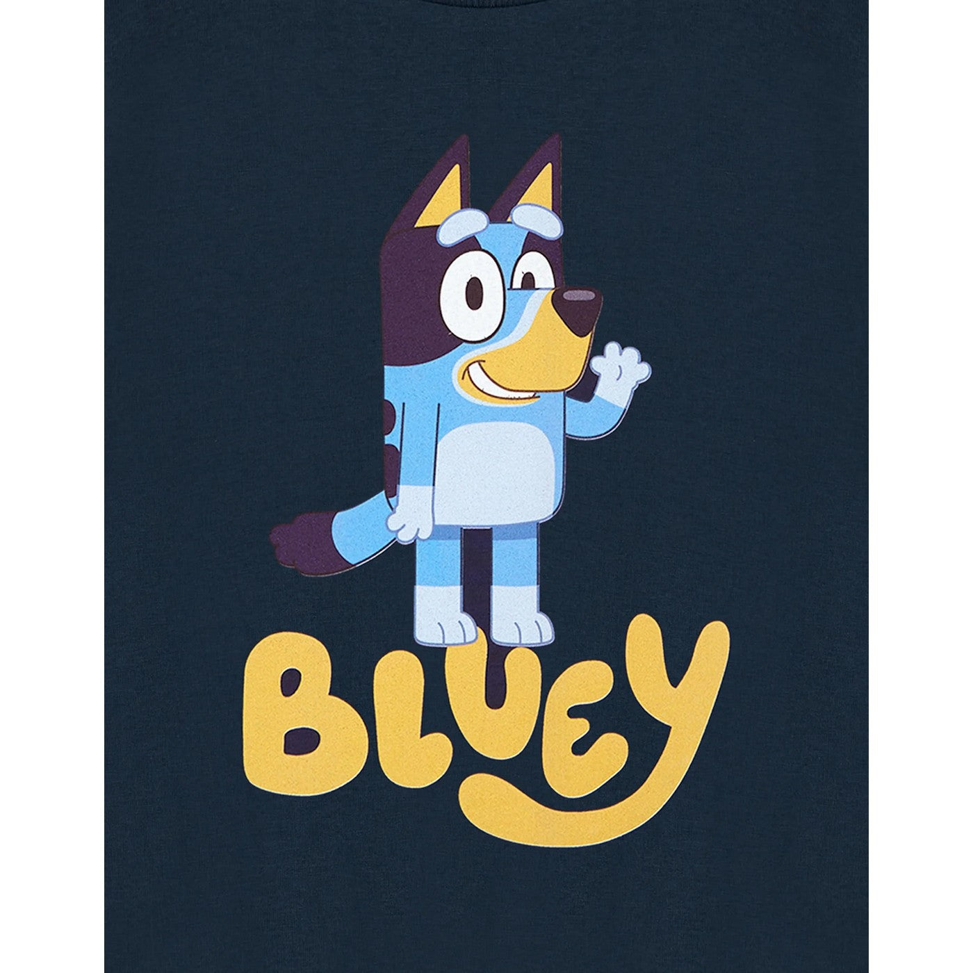 Blue - Pack Shot - Bluey Childrens-Kids Character Short-Sleeved T-Shirt