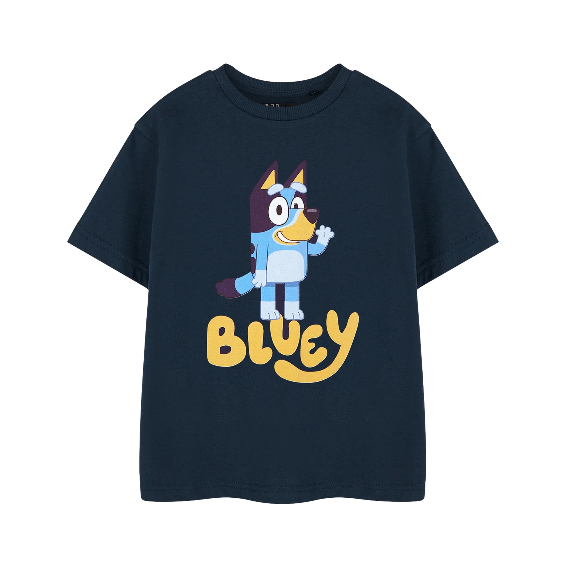 Blue - Front - Bluey Childrens-Kids Character Short-Sleeved T-Shirt