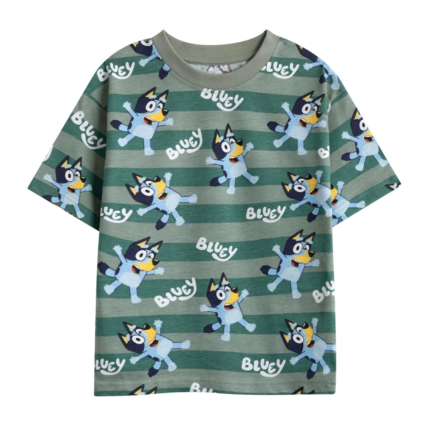 Green-Blue - Back - Bluey Boys Bluey & Bingo Short-Sleeved Short Pyjama Set (Pack of 2)
