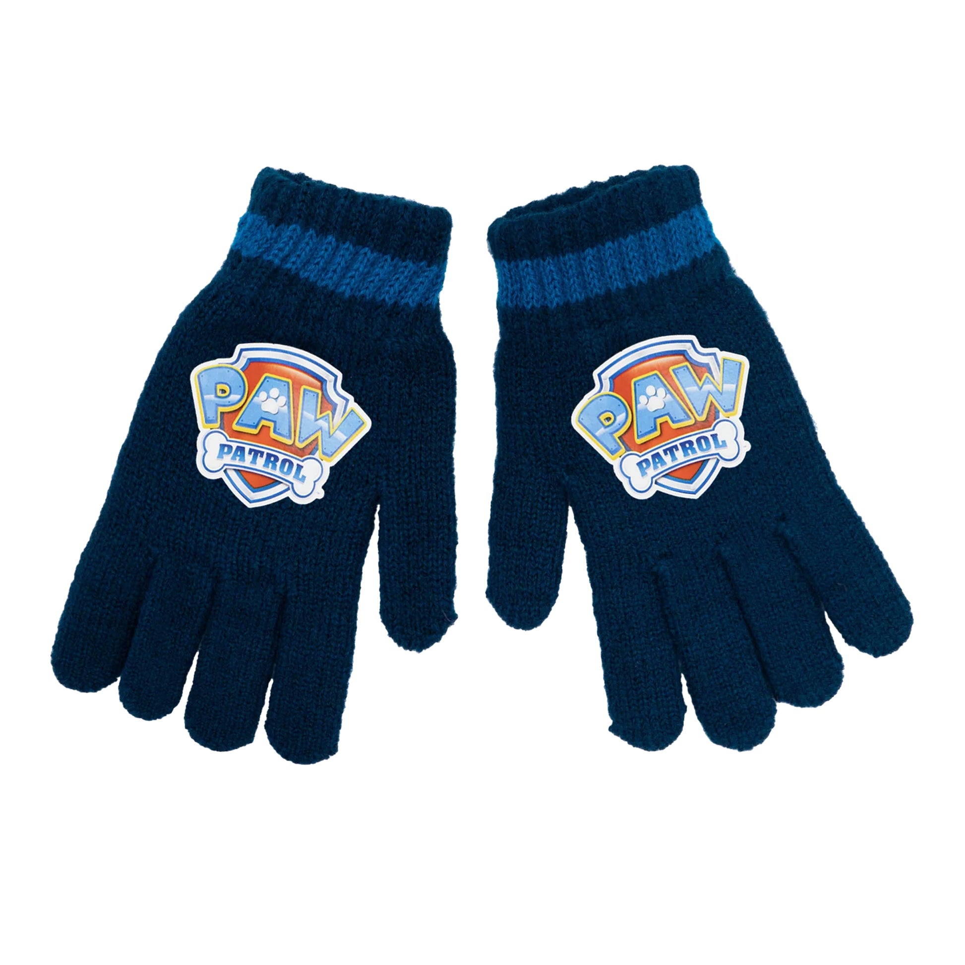 Blue - Back - Paw Patrol Boys Pose Beanie & Gloves Set