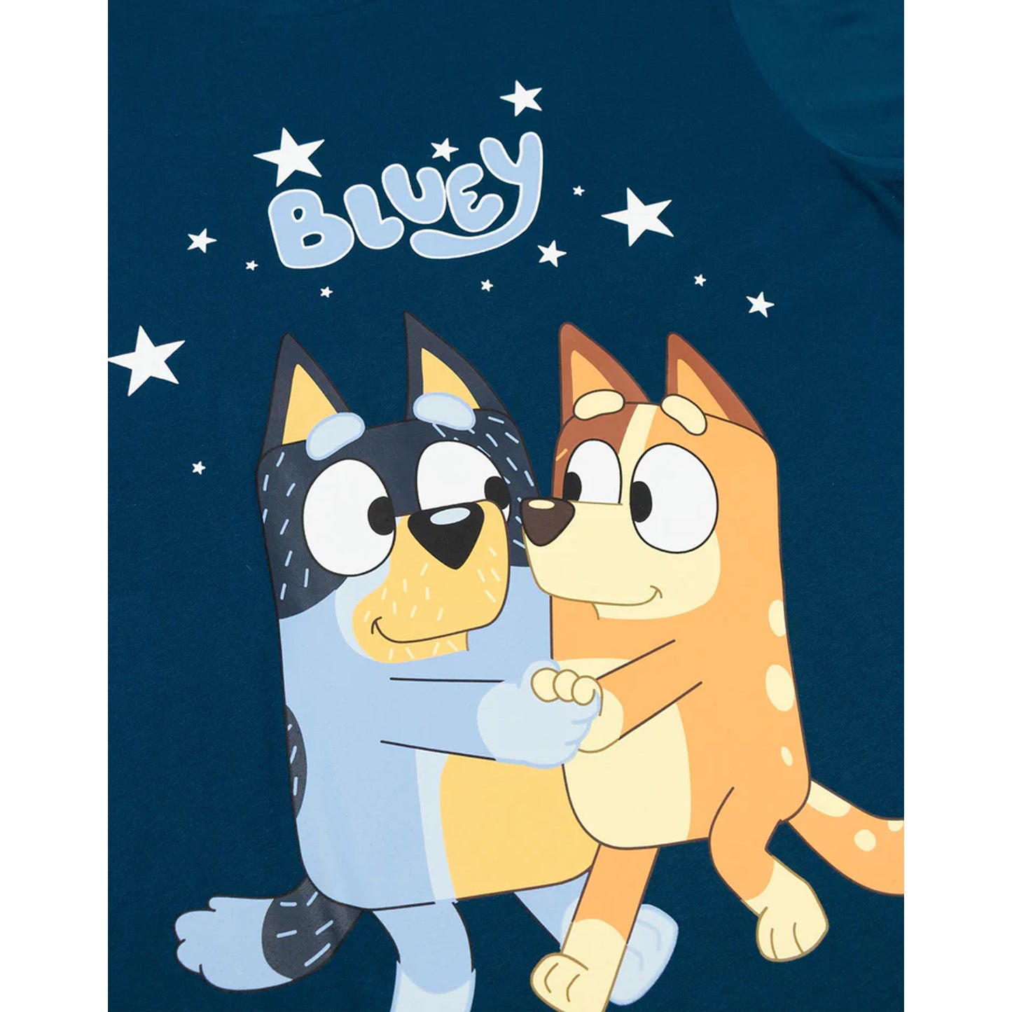 Multicoloured - Lifestyle - Bluey Mens Family Long Pyjama Set