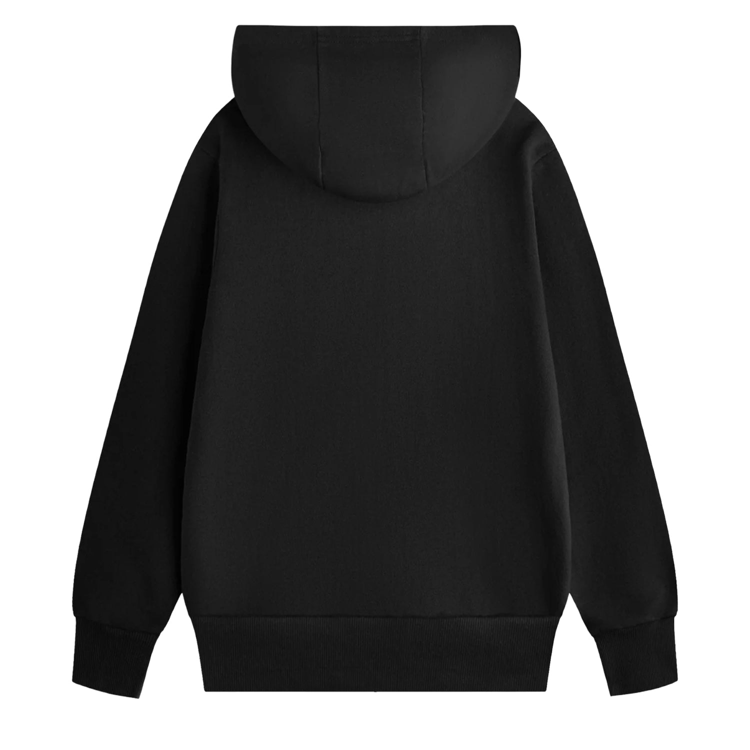 Black - Back - Nirvana Unisex Adult Rainbow Logo Hoodie
