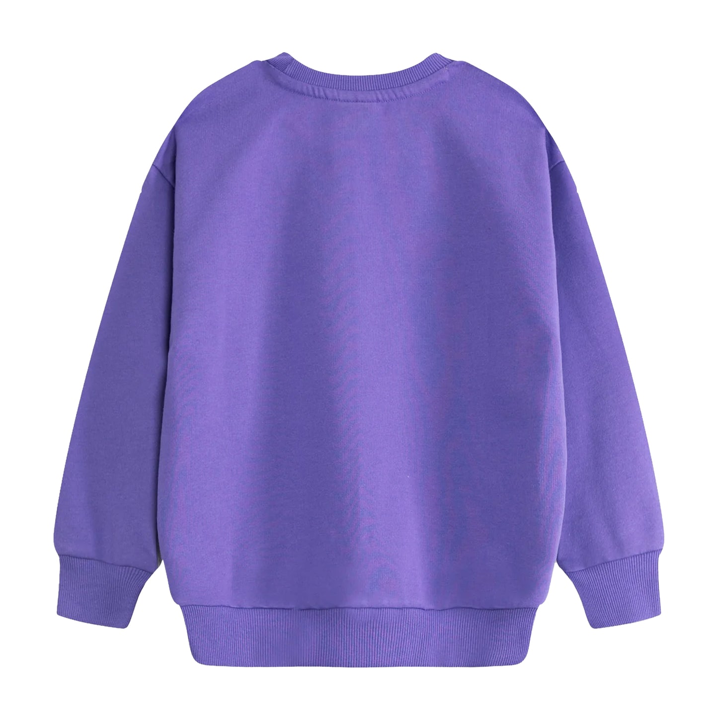 Purple - Back - Room On The Broom Childrens-Kids Characters Sweatshirt