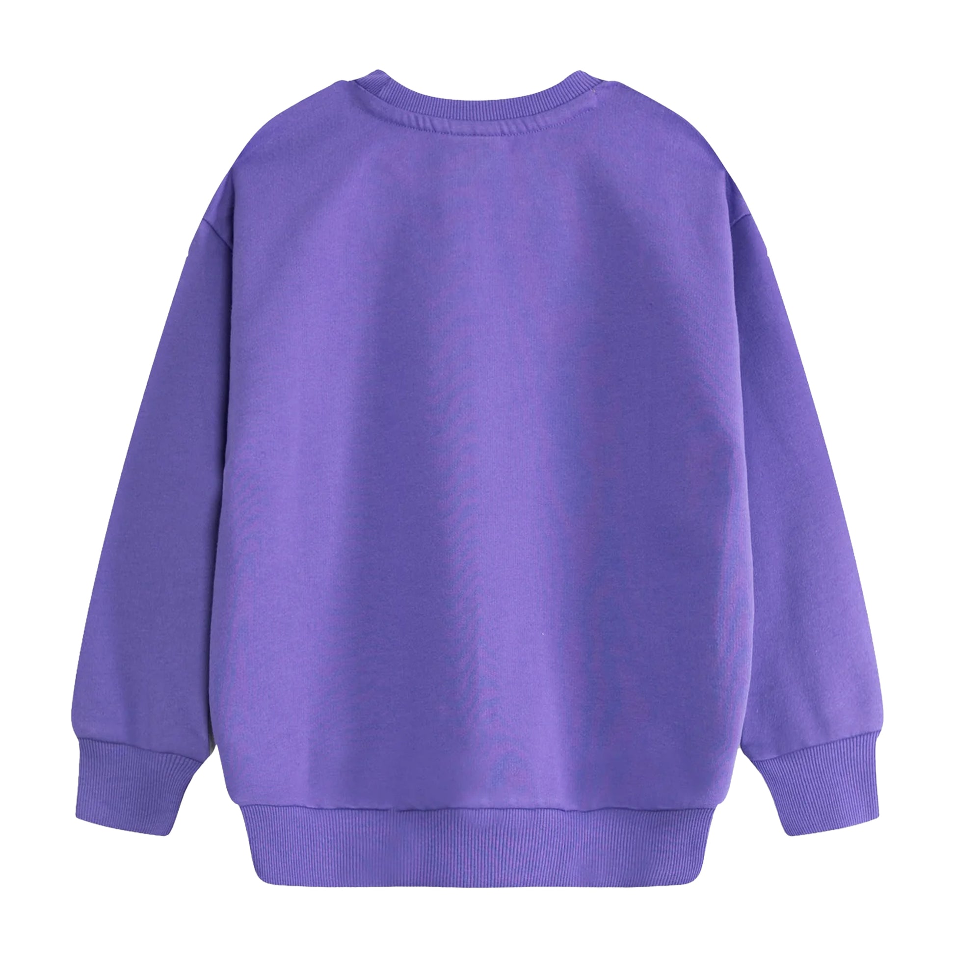 Purple - Back - Room On The Broom Childrens-Kids Characters Sweatshirt