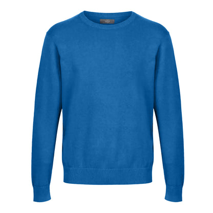 Peacock - Front - CastlePoint Mens Sweatshirt
