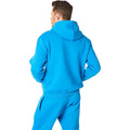 Blue Aster - Back - RIPT Essentials Mens Pull Over Hoodie