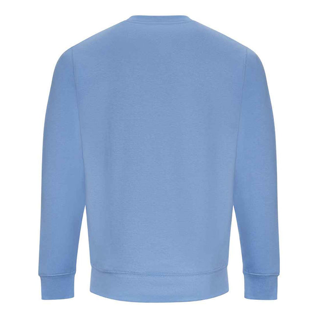 Cornflower Blue - Back - AWDis Just Hoods AWDis Unisex Crew Neck Plain Sweatshirt (280 GSM)