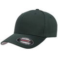 Spruce Green - Front - Flexfit Childrens-Kids Wooly Combed Cap