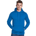 Royal Blue - Back - AWDis Adults Unisex Polyester Sports Hoodie