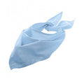 Sky Blue - Front - SOLs Unisex Plain Bandana