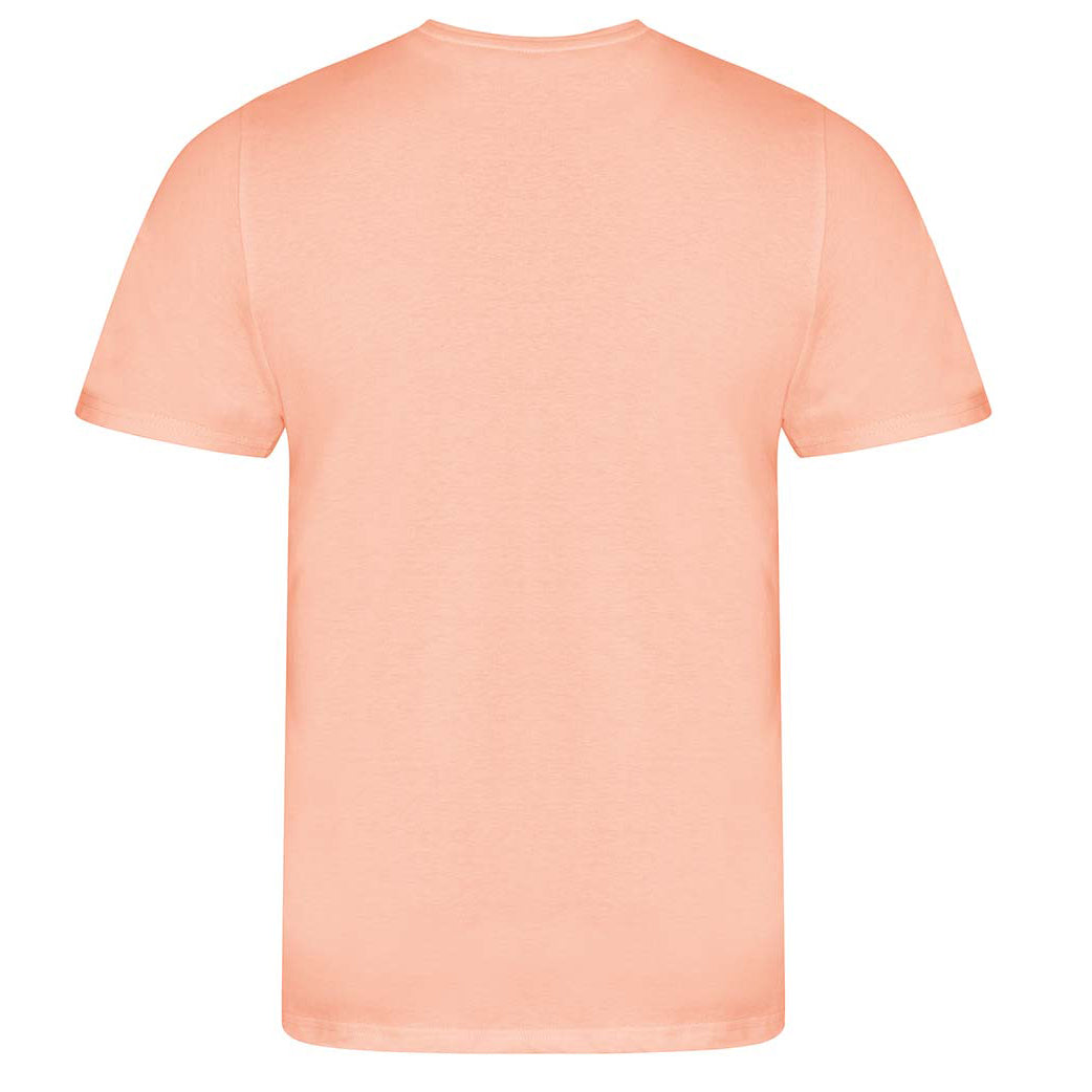 Soft Peach - Back - Ecologie Mens Organic Cascades T-Shirt