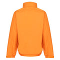 Sun Orange-Seal Grey - Lifestyle - Regatta Mens Dover Waterproof Insulated Jacket