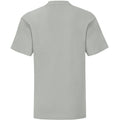 Zinc Grey - Back - Fruit Of The Loom Childrens-Kids Iconic T-Shirt