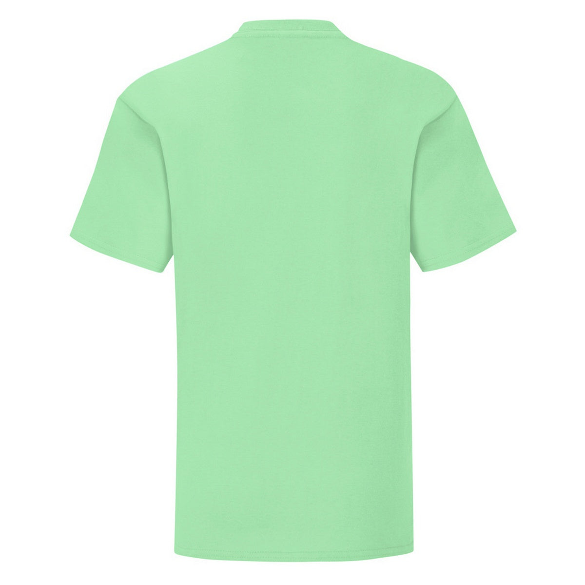 Neo Mint - Back - Fruit Of The Loom Childrens-Kids Iconic T-Shirt