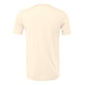 Heather Dust - Back - Bella + Canvas Adults Unisex Heather CVC T-Shirt
