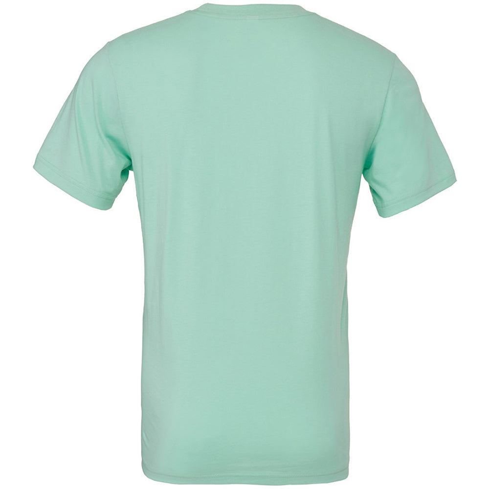 Heather Mint - Back - Bella + Canvas Adults Unisex Heather CVC T-Shirt