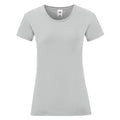 Zinc - Front - Fruit Of The Loom Womens-Ladies Iconic T-Shirt