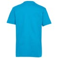 Aqua - Back - SOLS Kids Unisex Imperial Heavy Cotton Short Sleeve T-Shirt