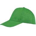 Kelly Green - Back - SOLS Unisex Buzz 5 Panel Baseball Cap