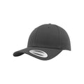 Charcoal - Front - Flexfit Unisex Curved Classic Snapback Cap