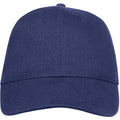 French Navy - Lifestyle - SOLS Unisex Buffalo 6 Panel Baseball Cap