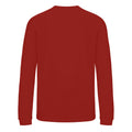 Fire Red - Back - AWDis Just Hoods Childrens-Kids Sweatshirt