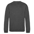 Charcoal - Back - AWDis Just Hoods Childrens-Kids Sweatshirt