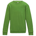 Lime Green - Front - AWDis Just Hoods Childrens-Kids Sweatshirt