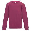 Hot Pink - Front - AWDis Just Hoods Childrens-Kids Sweatshirt