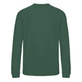 Bottle Green - Back - AWDis Just Hoods Childrens-Kids Sweatshirt