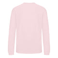 Baby Pink - Back - AWDis Just Hoods Childrens-Kids Sweatshirt