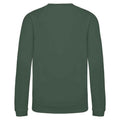 Bottle Green - Back - AWDis Just Hoods Childrens-Kids Sweatshirt