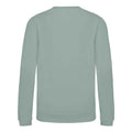 Dusty Green - Back - AWDis Just Hoods Childrens-Kids Sweatshirt