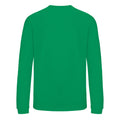 Kelly Green - Back - AWDis Just Hoods Childrens-Kids Sweatshirt