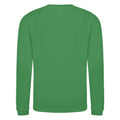 Kelly Green - Back - AWDis Just Hoods Childrens-Kids Sweatshirt