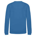 Sapphire Blue - Back - AWDis Just Hoods Childrens-Kids Sweatshirt