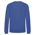 Royal Blue - Back - AWDis Just Hoods Childrens-Kids Sweatshirt