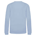 Sky Blue - Back - AWDis Just Hoods Childrens-Kids Sweatshirt