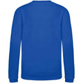 Bright Royal - Back - AWDis Just Hoods Childrens-Kids Sweatshirt
