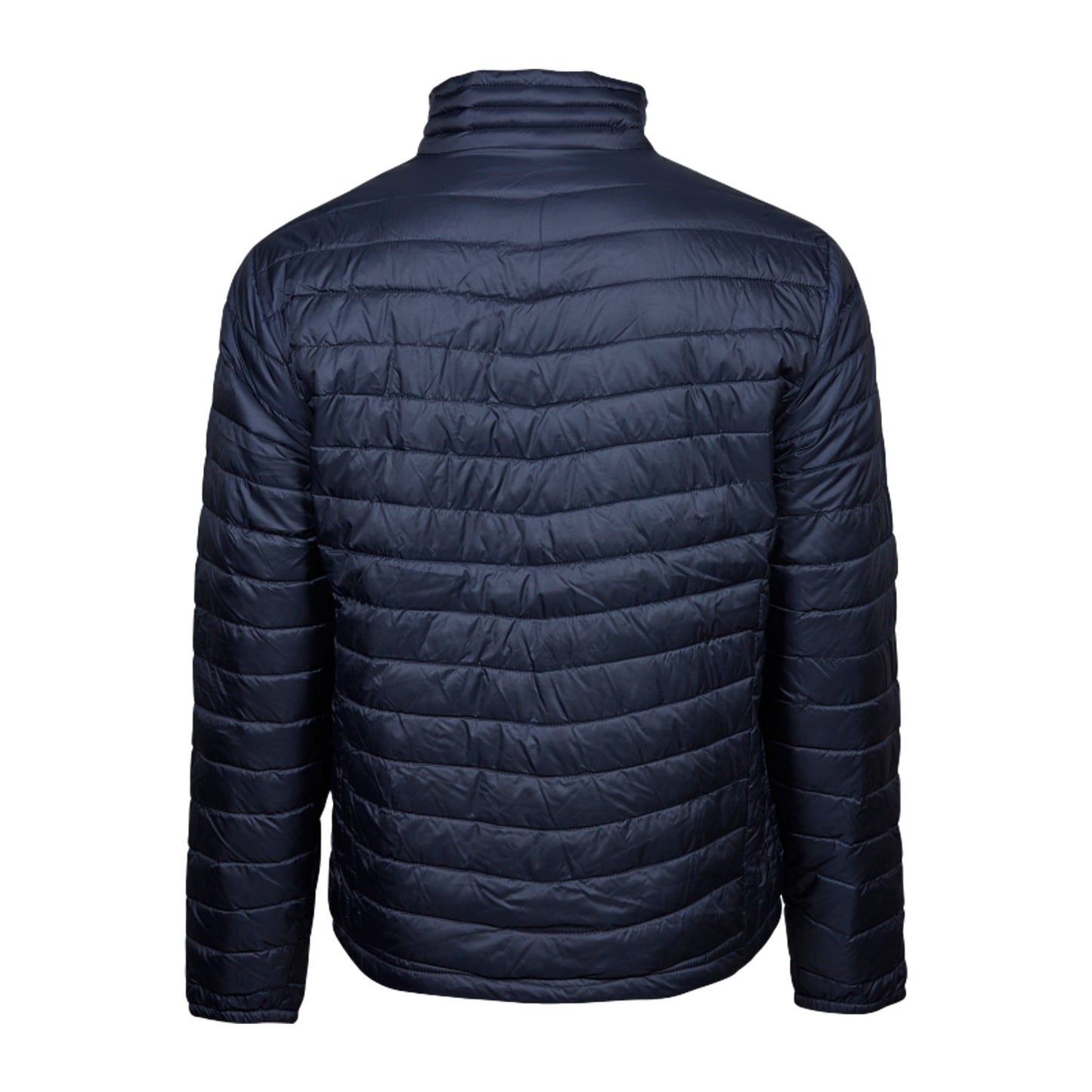 Deep Navy - Back - Tee Jays Mens Zepelin Padded Jacket