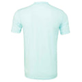 Ice Blue - Back - Bella + Canvas Adults Unisex Tri-Blend T-Shirt