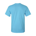 Sky Blue - Back - Gildan Mens Heavy Cotton T-Shirt