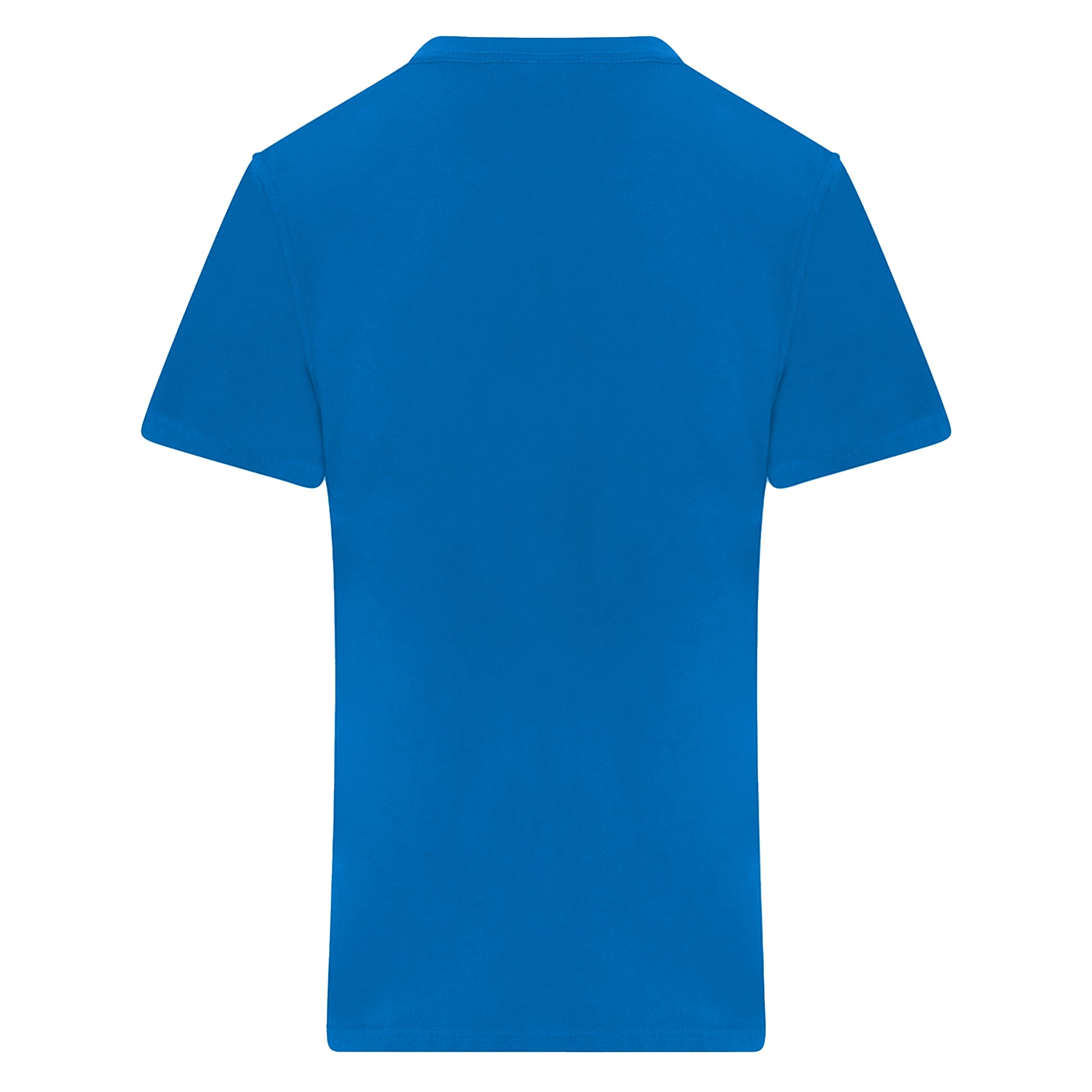 Sapphire Blue - Back - PRO RTX Mens Pro T-Shirt